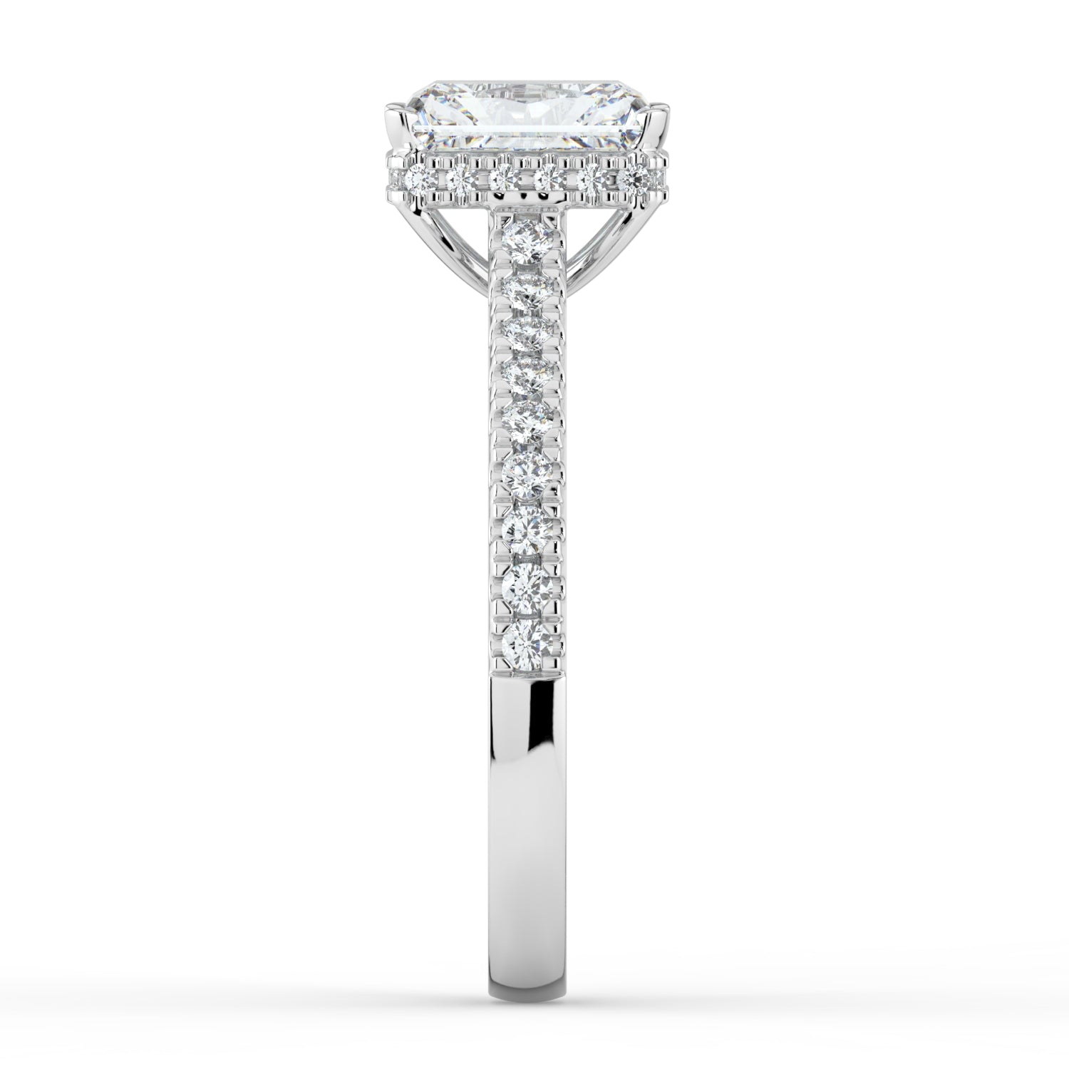 Under Halo with Shoulders