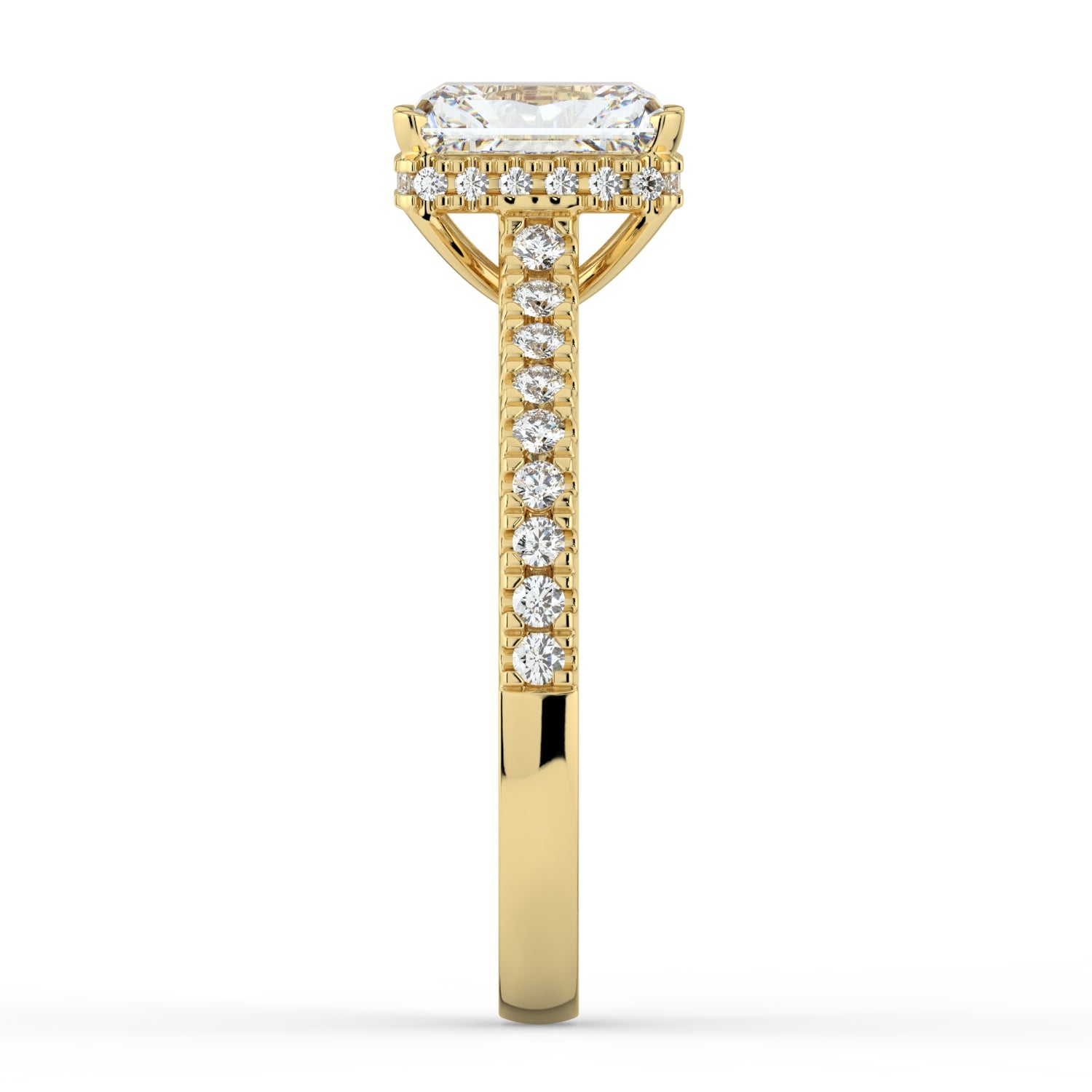 Under Halo with Shoulders