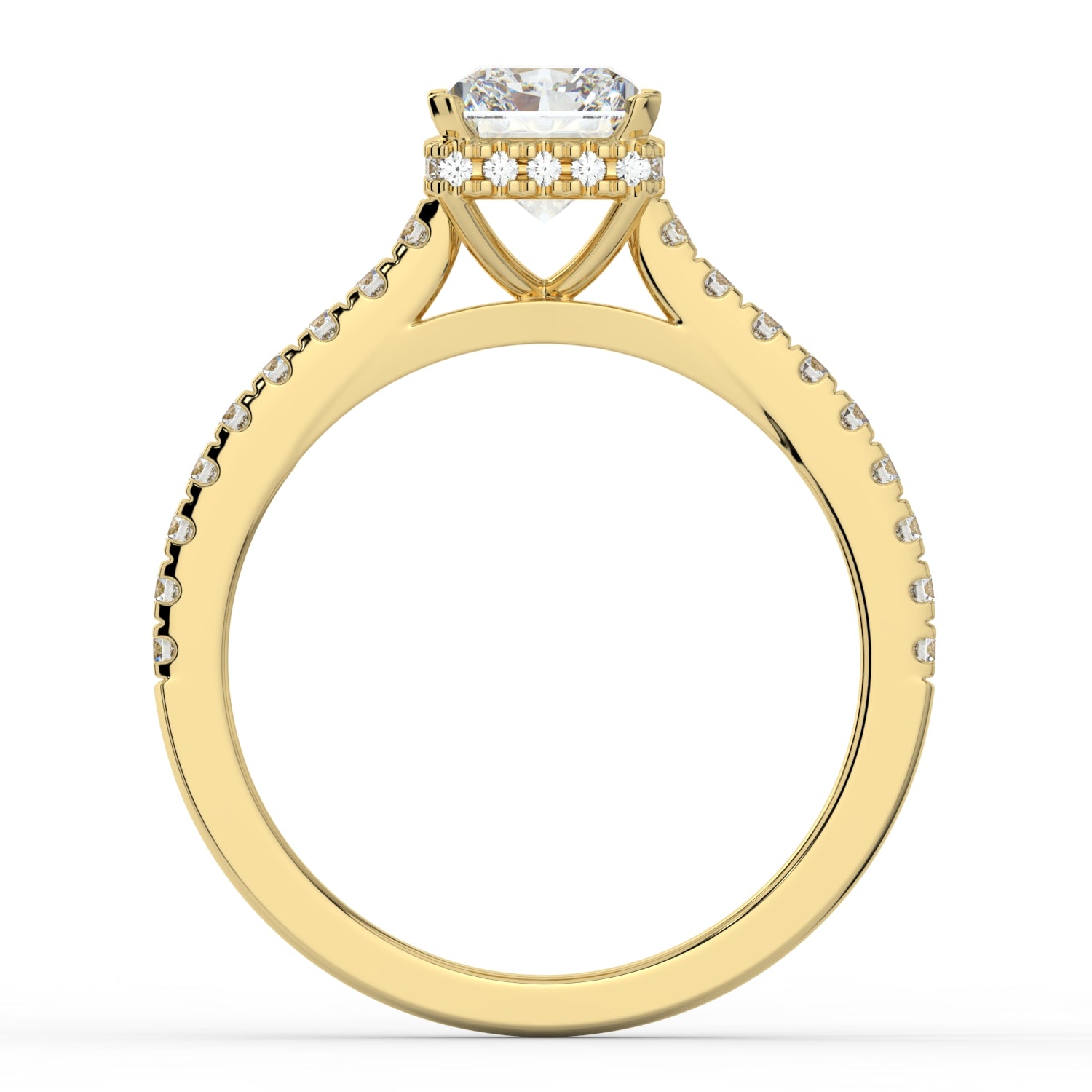 Under Halo with Shoulders