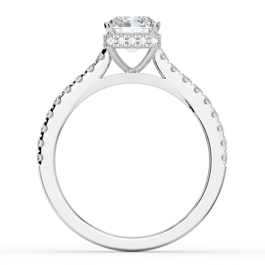 Under Halo with Shoulders