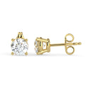 Earring Studds
